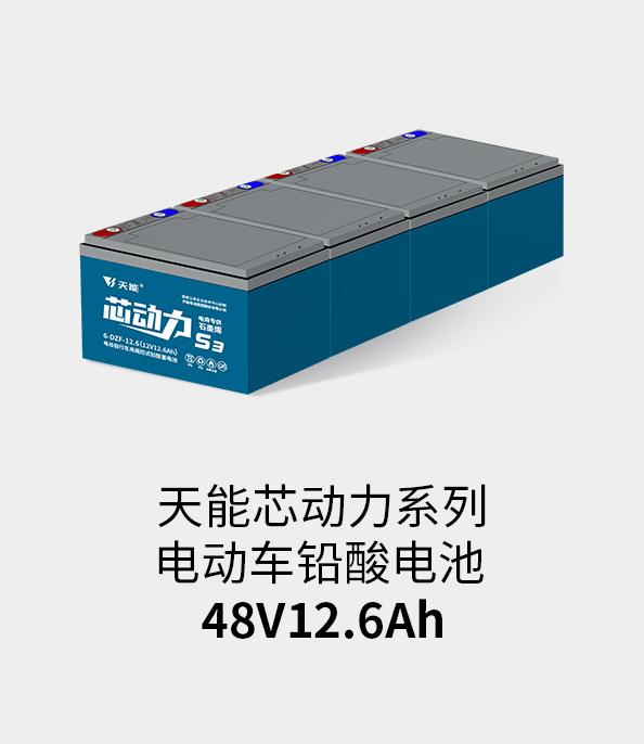 J9ag旗舰厅电池48v12ah