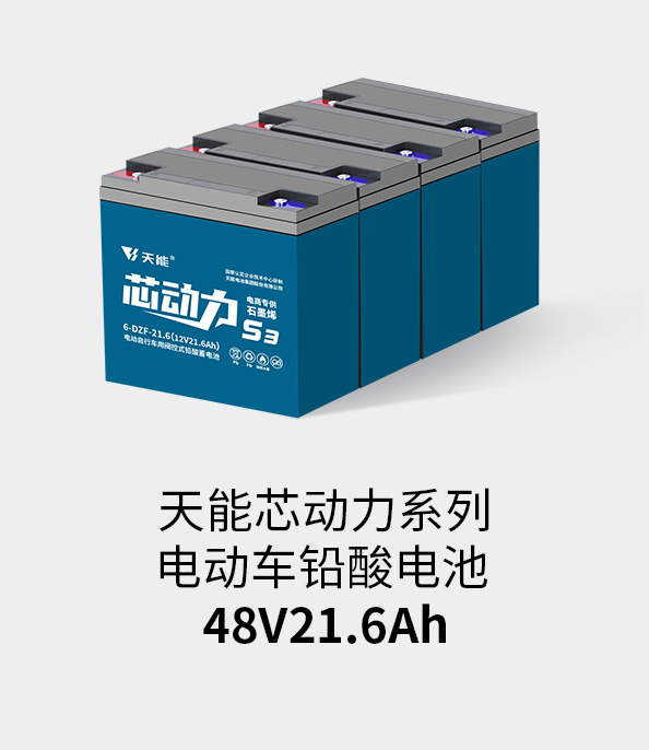 J9ag旗舰厅电池48v20ah