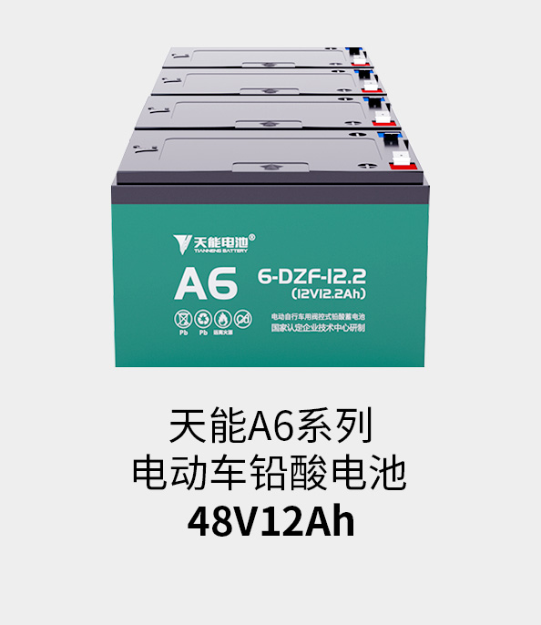 J9ag旗舰厅电池48v12ah
