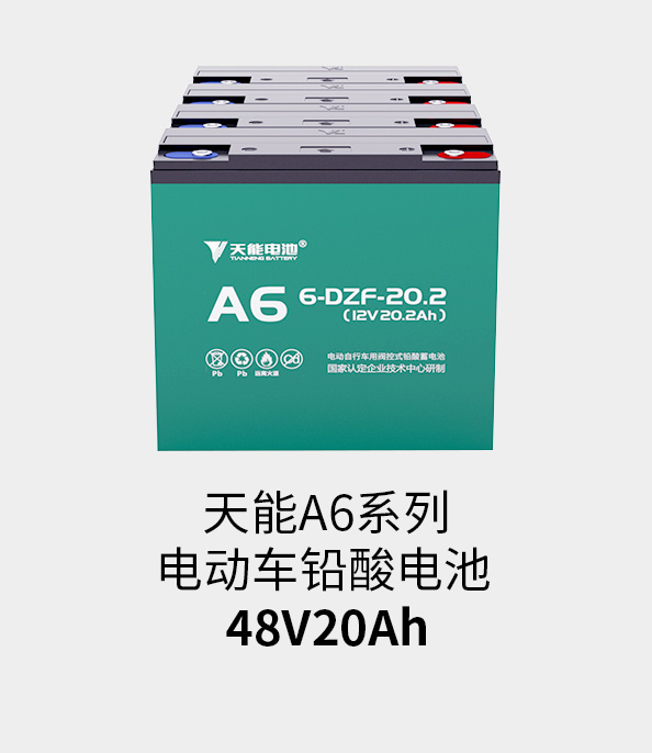 J9ag旗舰厅电池48v20ah