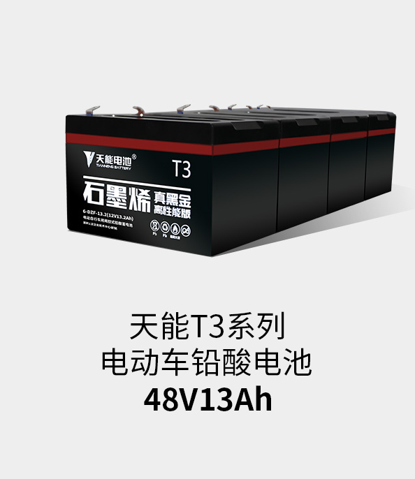 J9ag旗舰厅T3系列48v13ah