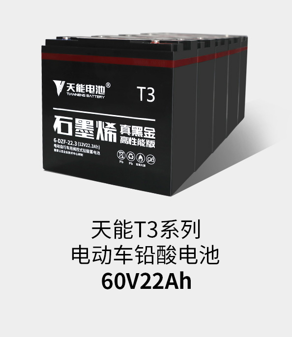 J9ag旗舰厅T3系列60v22ah